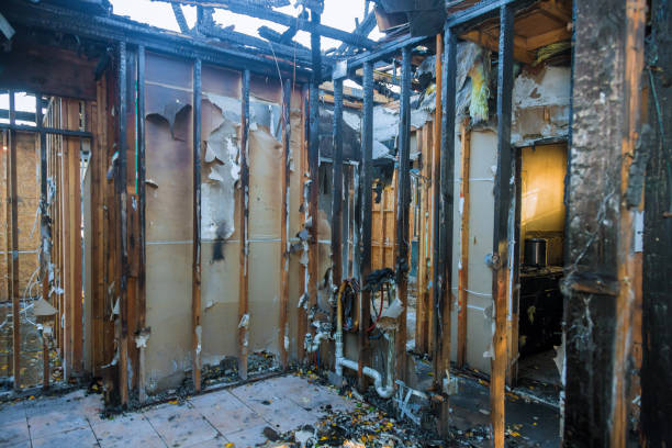 Professional Fire Damage Removal technician working in Foley, MN